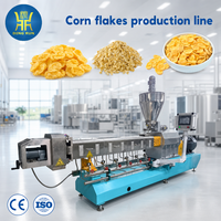 Chaîne de production de céréales pour petit-déjeuner entièrement automatique, neuve, pour la fabrication de cornflakes, fabriquée à Jinan, Chine
