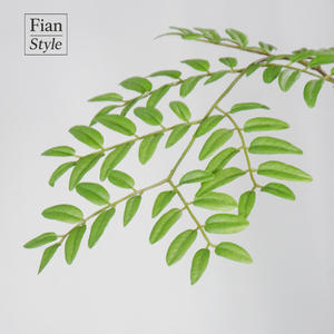 フォン・イアン 高品質ソルバスの葉と鉢 北欧風フェイクグリーン クリスマス ウェディング 室内用 ショッピングモール モダンホームデコレーション - Product Image 4