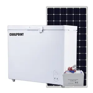 Low energy 258L 12 v24v DC quality compressor cooler ice cream 600a/134a refrigerante solare single door chest congelatori profondi