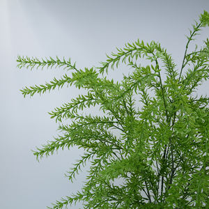 Nouvelle Branche de Plante Artificielle Verte en Plastique, Décoration de Nouvel An, Style Nordique, Faux Asperge et <span class=keywords><strong>Romarin</strong></span> Artificiels - Product Image 6