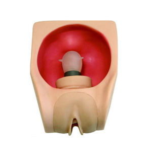 Modello Avanzato per Pratica di Contraccezione Femminile - Product Image 1