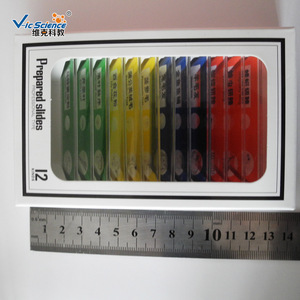 Children's Plastic <b>Microscope</b> Slide Kit, Biological Specimens with Mixed Chinese and English Language, Children's Gift, - Product Image 4