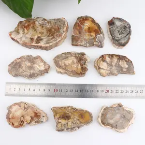 Wholesale Natural Polished Fossil Wood Plate Xylopal Special Fossil Slice For Decoration