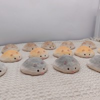 Ornement rustique en bois pour hamster, en tilleul, fait main, idéal pour la décoration de petites pièces, bureaux et postes de travail, cadeaux adorables, vente en gros