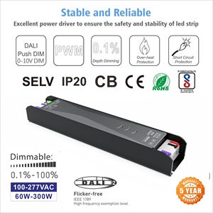 Ip20 <span class=keywords><strong>DALI</strong></span> <span class=keywords><strong>2</strong></span> DT6 0-10V Controlador LED de atenuación PF> 0,96 60W 100W 200W 300W DC 12V 24V Fuente de alimentación LED regulable - Product Image 4