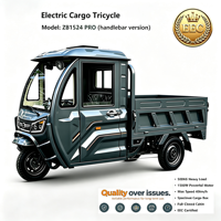 ZB1524 PRO Yüksek Performanslı Elektrikli Kargo Üç Tekerlekli Bisikleti - 1500W Güç ve 500KG Taşıma Kapasitesi Uzmanı (EEC Sertifikalı)