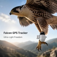 Aerial Falcon Guard IP67 Anillo GPS Antiescape con Correa para Caza y Entrenamiento de Raptores