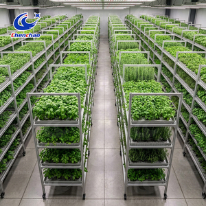 Professional Mobile Ebb and Flow Table with Durable Aluminum Frame for Commercial Greenhouse and <strong>Industrial</strong> <strong>Hydroponic</strong> Pro - Product Image 2