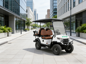 Carrito de Golf Eléctrico de 4 Plazas, Bajo Consumo de Energía, Oferta de Fábrica para Campos de Golf, Certificado CE para Carreteras No Públicas - Product Image 1