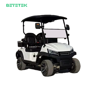 Carrito de Golf Eléctrico Clásico Vintage de Alta Calidad para 2 Personas, Carritos Personalizados, Automóvil para Carreteras No Públicas - Product Image 3