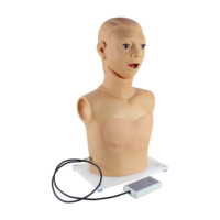 Modelo Avanzado de Inspección de Garganta para Uso Médico, Modelo Realista de Laringe y Faringe Humana para Entrenamiento de Examen