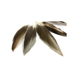 Nhà Máy Mới Giá Mềm Ấm Trắng Vịt Lông Máy Có Thể Giặt Xuống Vịt Xuống Lông Cho Nhà Dệt May Và Trang Trí Khác - Product Image 4