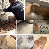 Suikerfruitpoeder, tefftarwemeel, cassavemolen, maal- en verwerkingsproces, fabriek, machine