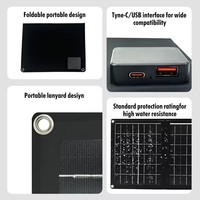 Panneau solaire pliable pratique, batterie externe 12W, charge portable pour téléphone, activités de plein air, USB + Type-C 5V/2.4A, camping