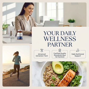 Extrait de ginseng américain de qualité supérieure en <span class=keywords><strong>granules</strong></span> avec Dendrobium et saponines pour la vitalité - Product Image 5