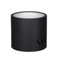 Éclairage intérieur Downlight rond monté en surface Spot lumineux Led Downlight de plafond