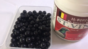 Pil Burung Merpati Balap, Perawatan Kesehatan & Suplemen Hewan Peliharaan - Product Image 4