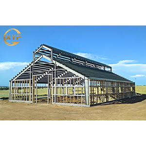 Servicio Integral de Construcción Metálica 20x40 / 40x60 / 50x100 - Estructura de Acero, Almacén de 1000 Metros Cuadrados, Edificio Prefabricado - Product Image 2