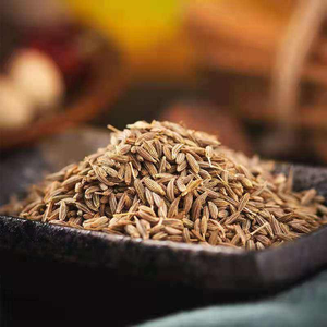 Cumin Séché Nouvelle Récolte en Gros à Prix Usine – Herbes et Épices Brutes, Graines de Cumin - Product Image 3