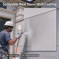 Peinture acrylique texturée effet pierre pulvérisable haute dureté anti-salissure pour murs extérieurs en béton