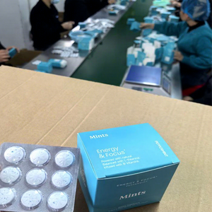 Chicle de L-Teanina con Vitaminas OEM de Solilan, Suplemento para la Salud Cerebral, Energía y Concentración, Sabor Menta - Product Image 2