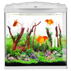 Pecera Inteligente de Plástico con Filtro de Circulación Automática, Ecológica para Uso Interior/Exterior en Sala de Estar - Product Image 1