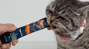 Großhandel Nasse Katzen-Snacks Leckerlis Verschiedene Geschmacksrichtungen mit Lachs und Thunfisch Fabrikkundenspezifisches Natürliches Katzenfutter aus Fleisch Hergestellt - Product Image 2