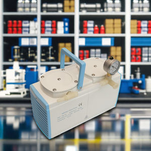 Type de produit efficace de pompe à vide de diaphragme électrique d'Oilless de <span class=keywords><strong>DVP</strong></span> pompes pour le laboratoire utilisant - Product Image 6
