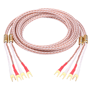 ATAUDIO เครื่อ<span class=keywords><strong>ง</strong></span>ขยายเสีย<span class=keywords><strong>ง</strong></span> HIFI สำหรับหุ้มโรเดียม,Y เสียบกับกล้วยปลั๊กออดิโอ HIFI 8TC OCC <span class=keywords><strong>Hi</strong></span> <span class=keywords><strong>End</strong></span> <span class=keywords><strong>สาย</strong></span>ลำ<span class=keywords><strong>โพ</strong></span><span class=keywords><strong>ง</strong></span> - Product Image 3