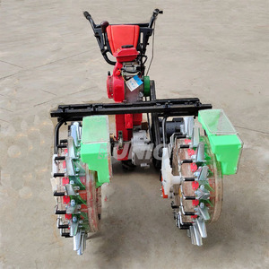 Plantador <span class=keywords><strong>de</strong></span> <span class=keywords><strong>semillas</strong></span> <span class=keywords><strong>de</strong></span> zanahoria Plantador <span class=keywords><strong>de</strong></span> <span class=keywords><strong>semillas</strong></span> <span class=keywords><strong>de</strong></span> <span class=keywords><strong>calabaza</strong></span> Plantador <span class=keywords><strong>de</strong></span> <span class=keywords><strong>semillas</strong></span> <span class=keywords><strong>de</strong></span> hierba - Product Image 3