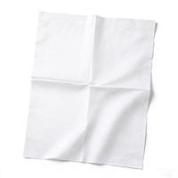 Bavette dentaire imperméable 13 x 18 pouces en papier gaufré épais, jetable et résistante aux déchirures pour usage clinique
