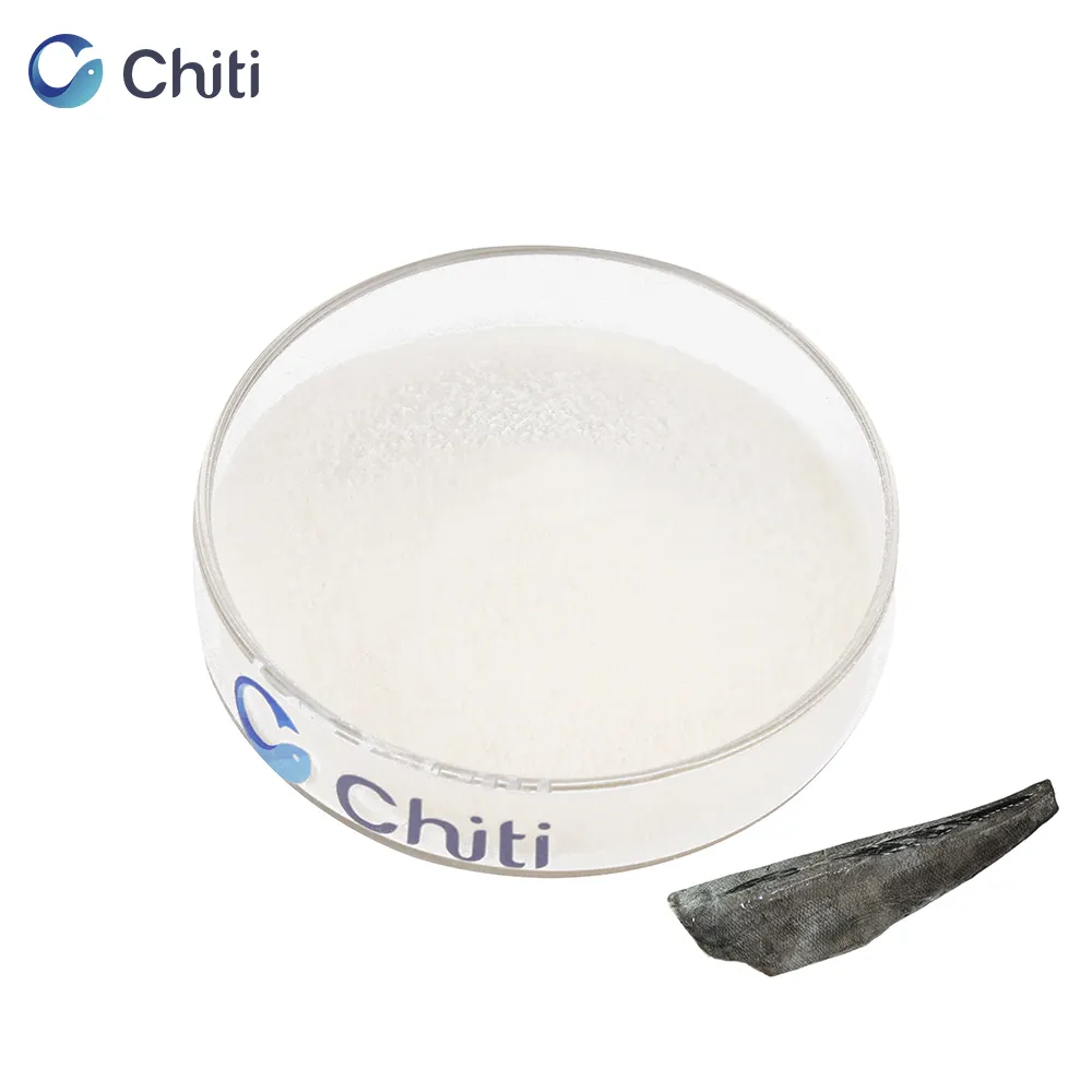 Chiti factory best collagen peptides powder Edible marine collagen powder fish collagen peptide anti-aging fish skin