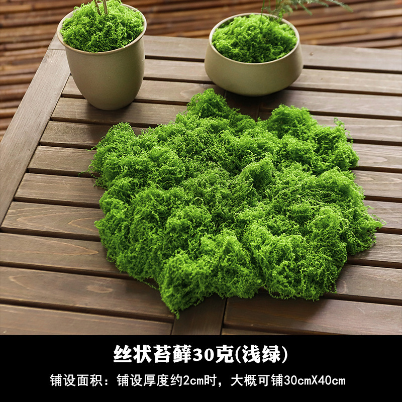 [Mejorado] Musgo filamentoso verde claro 30g