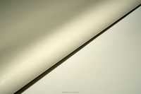 Rouleau de bâche en PVC pour enveloppe de dirigeable résistant aux UV de haute résistance pour un vol de longue durée