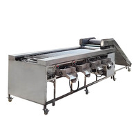 Efficiënte XINCHUAN XC-serie RVS fruit- en groentesorteermachine 1,5KW 220V/380V PLC-componenten sorteermachine