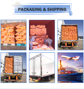 Detergente para Ropa OEM, Polvo de Lavado y Jabón en Polvo para Lavar Ropa, Pisos y Cocina - Product Image 3