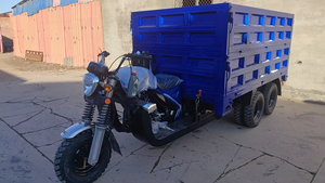 Tricycle Moto Benne 300cc 350cc Très Vendu, Tricycle Moteur Cargo à 9 Roues pour Fret - Product Image 5