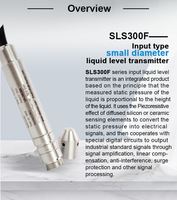Transmetteur de niveau submersible de petit diamètre SENTEC SLS300F, diaphragme 316L, capteur de niveau de liquide hydrostatique 4-20 mA