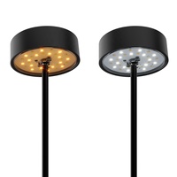 Lumières solaires de voie de métaux de LED lumière solaire de piquet de jardin lumière décorative solaire de paysage