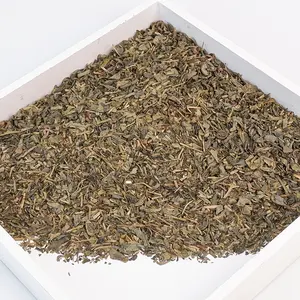 Bulk packaging wholesale price oem green tea beverage green tea 9575