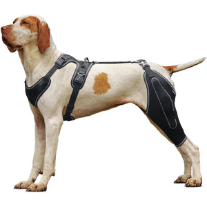 Protector de Piernas Traseras para Perros, Soporte Metálico Auxiliar Quirúrgico, <span class=keywords><strong>Rodillera</strong></span> Ajustable para Perros - Product Image 6