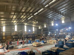 Vis à cloison sèche en acier populaire chaude tête de clairon autotaraudeuse auto-perçage bois din standard différentes tailles m3 m4 m5 fin grossier - Product Image 5