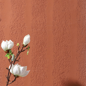 Thay thế mềm sứ Cave đá mềm đá trang trí mềm đá tường Bảng điều khiển travertine - Product Image 3