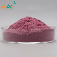 Lifecare Supply Hoogwaardig Natuurlijk Zwarte Vlierbes Fruit Extract Poeder Vlierbes Extract Poeder