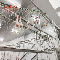 Machine de tri de poids de carcasses de poulet entièrement automatique, pesage, classement et distribution en ligne du poulet