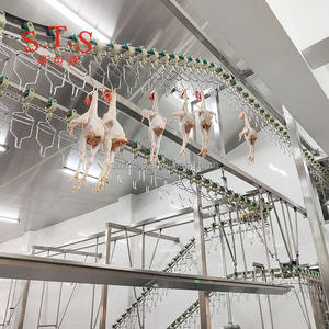 Полностью автоматическая машина для сортировки куриных туш онлайн-взвешивания и распределения курицы - Product Image 6