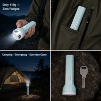 Lampe torche LED super lumineuse rechargeable avec batterie intégrée, projecteur à faisceau puissant pour la marche nocturne, la randonnée et les situations d'urgence