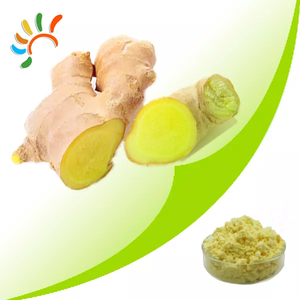 1% 5% 10% 20% kualitas tinggi ekstrak jahe bubuk jahe alami dari vakum kelas makanan akar dikemas dalam pabrik grosir - Product Image 2