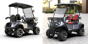 Petites voiturettes de <span class=keywords><strong>Golf</strong></span> <span class=keywords><strong>électrique</strong></span>s 2 places, couleur grise, avec support de sac de <span class=keywords><strong>Golf</strong></span>, <span class=keywords><strong>prix</strong></span> usine de Guangzhou, <span class=keywords><strong>2022</strong></span> Offre Spéciale - Product Image 5