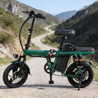 2024 Hot Selling Customized Folding Electric Bicycle 2 Wheel 14" Tire Lithium Battery Brushless Motor 500W Sidecar for Adults
